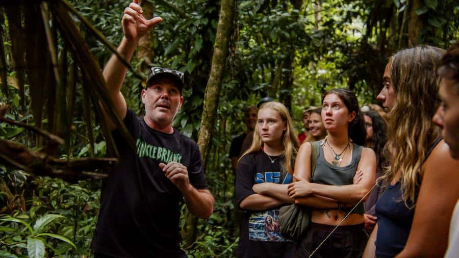 Cairns: 2-Day Atherton Tablelands & Cape Tribulation Tour - Millaa Millaa Falls: the swim stop that helps you pace yourself