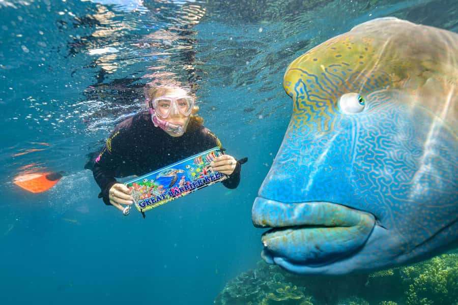 Cairns: 2-Day Barrier Reef Pontoon & Fitzroy Island Tour - Key points before you go