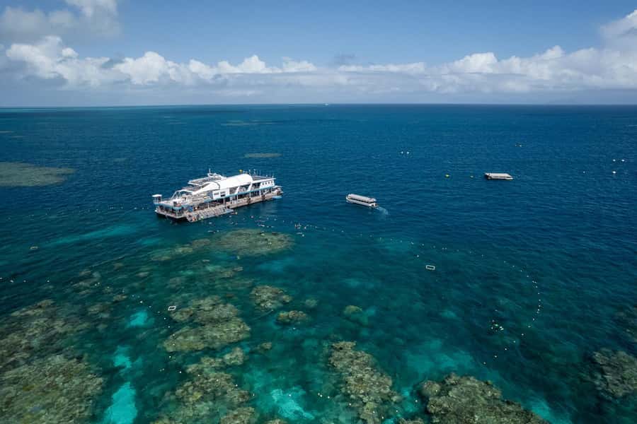 Cairns: 2-Day Barrier Reef Pontoon & Fitzroy Island Tour - Reef Magic Pontoon from Cairns, the reason this tour feels special