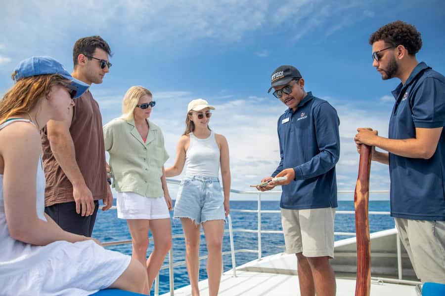 Cairns: 2-Day Great Barrier Reef and Fitzroy Island Tour - Choosing the reef sites by conditions: why this matters for your photos and wildlife