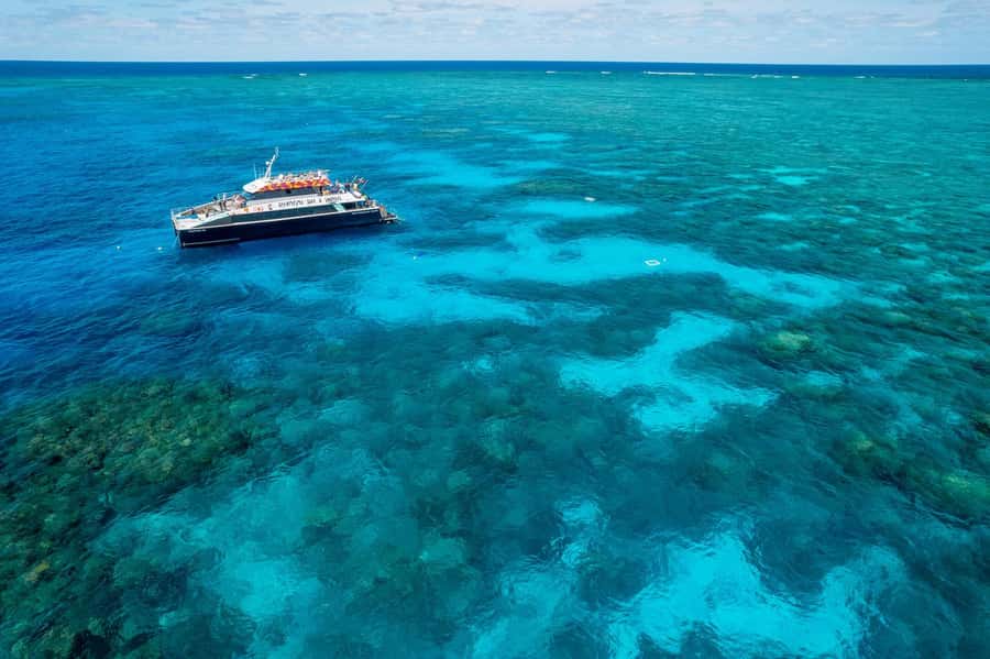 Cairns: 2-Day Great Barrier Reef and Fitzroy Island Tour - Day 1 from Cairns: Outer Great Barrier Reef snorkeling with real guidance