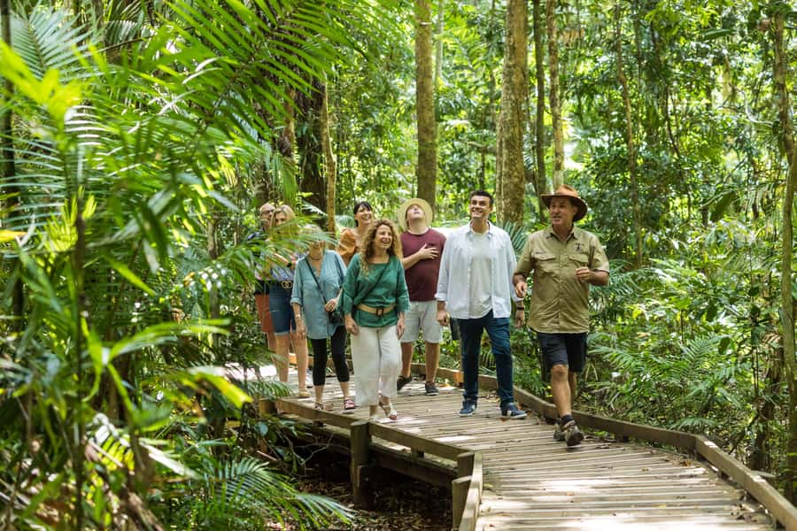 Cairns: 2-Day Great Barrier Reef & Daintree Rainforest Tour - Daintree Rainforest Day from Cairns: crocs, boardwalks, and swim time