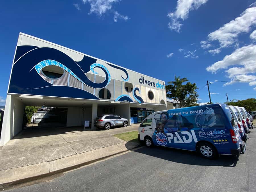 Cairns: 4-Day PADI Open Water Course - Key Things I’d Pay Attention To