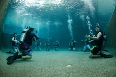 4-Day PADI Open Water Course