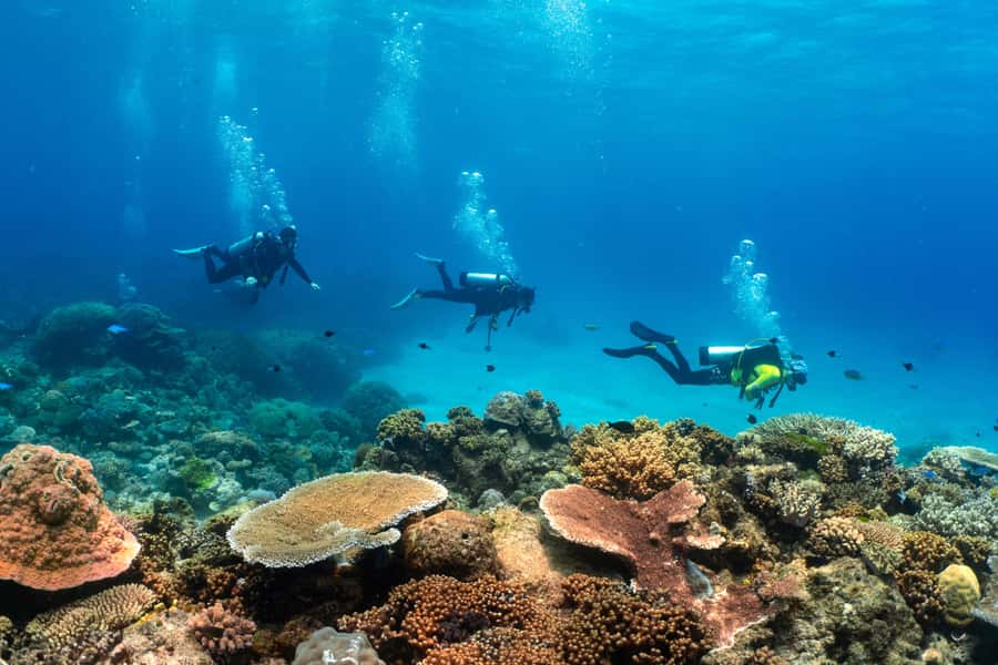 Cairns: 4-Day PADI Open Water Course - Price and value: is $704 reasonable for Cairns?