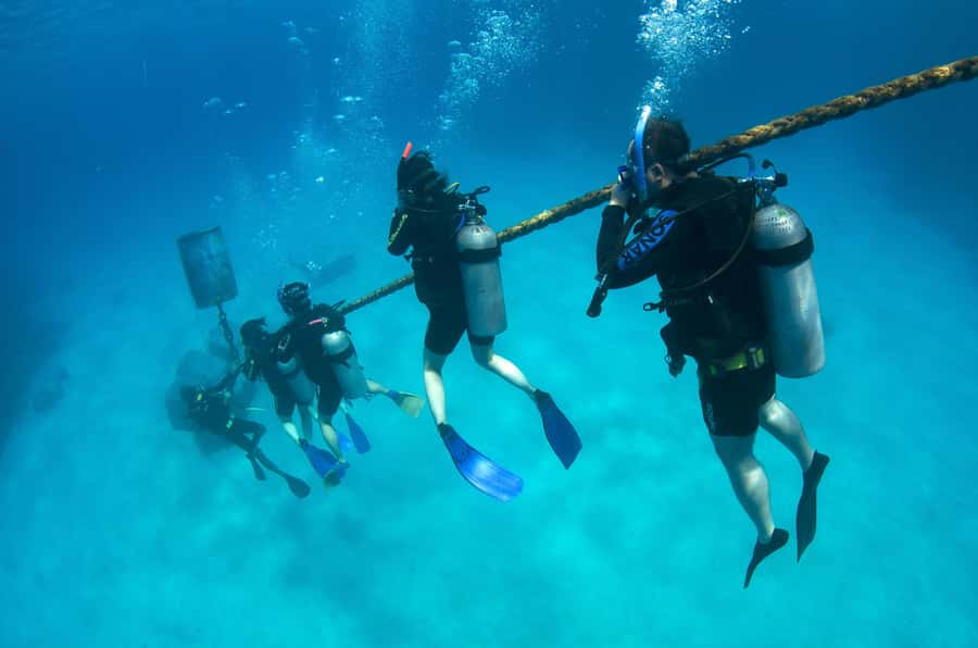 Cairns: 4-Day PADI Open Water Course - What the standout reviews tell me about the teaching style