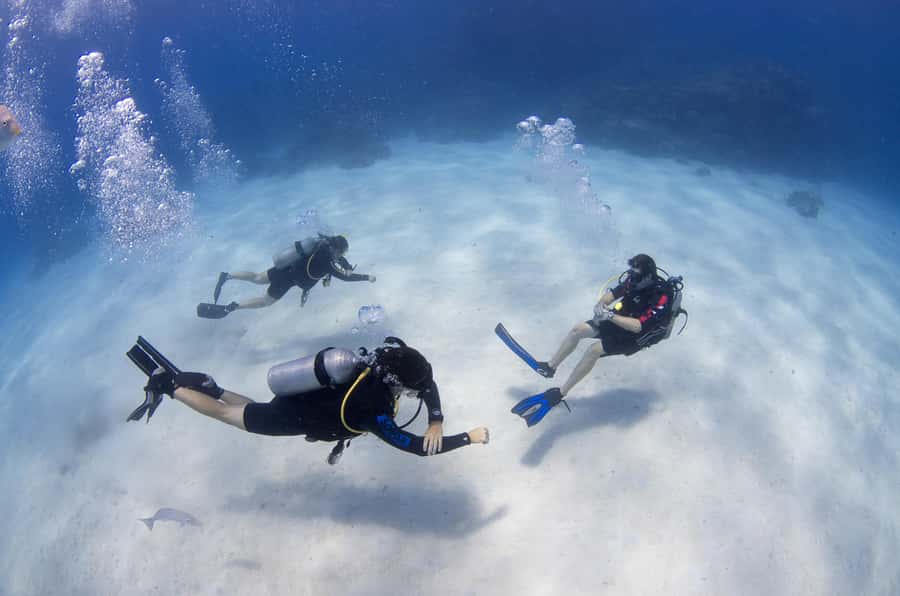 Cairns: 4-Day PADI Open Water Course - Who should book this Cairns PADI Open Water course