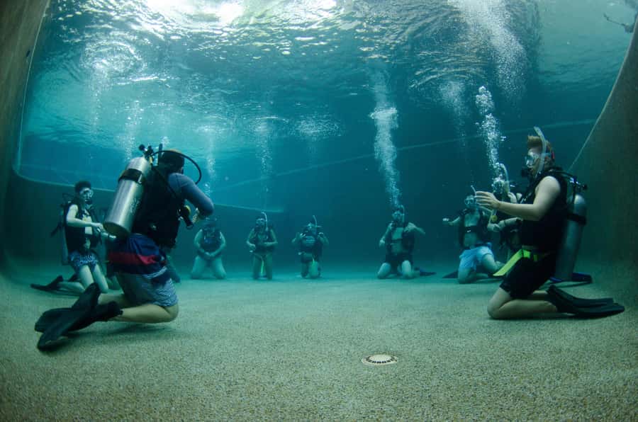 Cairns: 4-Day PADI Open Water Course - Day 1 at Divers Den: paperwork, theory, and the tread-water test