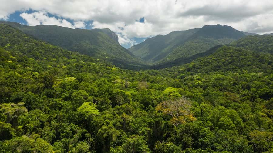 Cairns: Aboriginal Coastal Adventure & Mossman Gorge Tour - Who Should Book This Tour (and Who Might Prefer Something Else)
