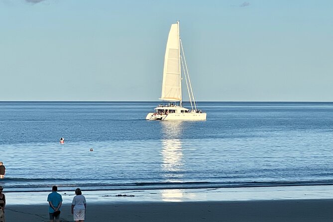 Cairns Airport to Port Douglas Shared Shuttle - Why this Cairns to Port Douglas shuttle is a smart arrival plan