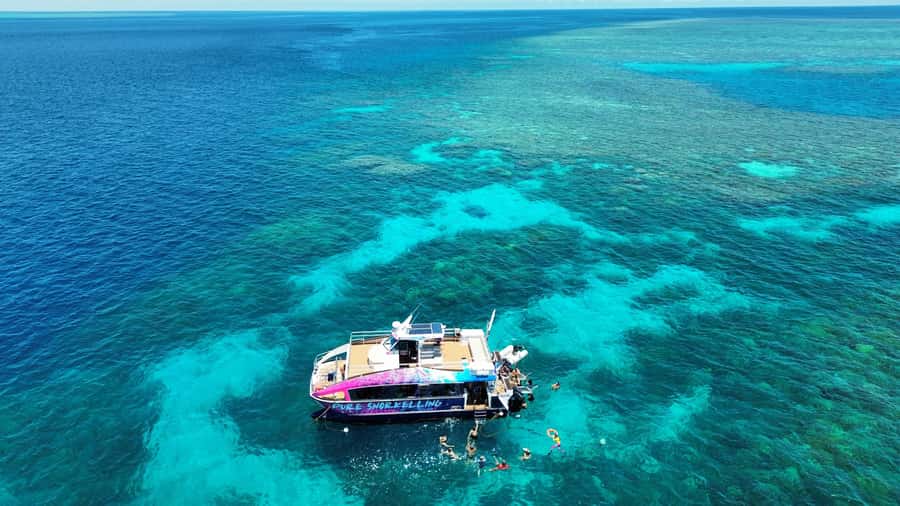 Cairns: All-Inclusive Great Barrier Reef Half-Day Snorkeling - Key highlights you should care about