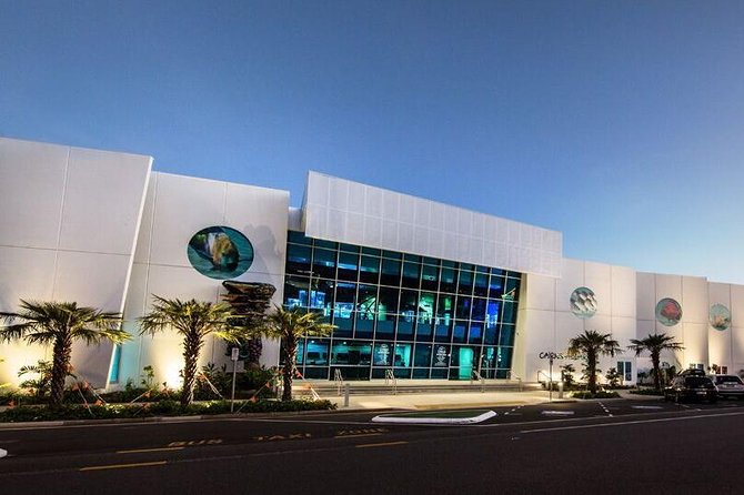 Cairns Aquarium Admission Ticket - Cairns Aquarium in plain English: what you really see