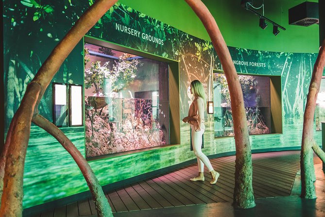 Cairns Aquarium Admission Ticket - The underwater tunnel and Deep Reef Tank: the standout tank time