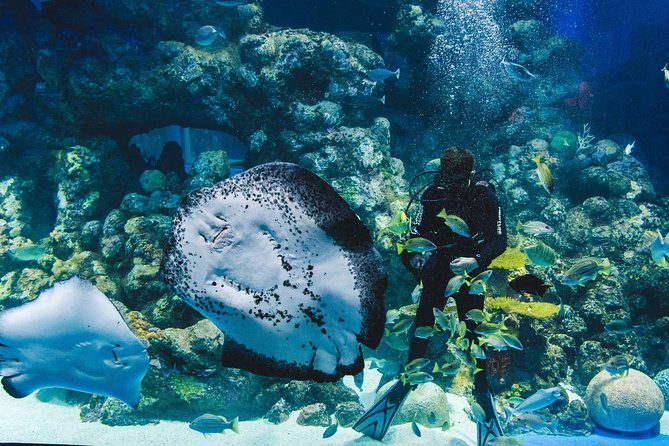 Cairns Aquarium Admission Ticket - How long it takes: 1.5 hours to 3 hours