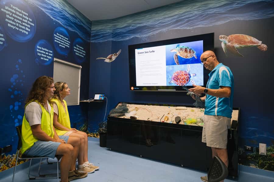 Cairns: Aquarium Entry Ticket and Turtle Rehabilitation Tour - The turtle hospital tour, where the conservation story gets real