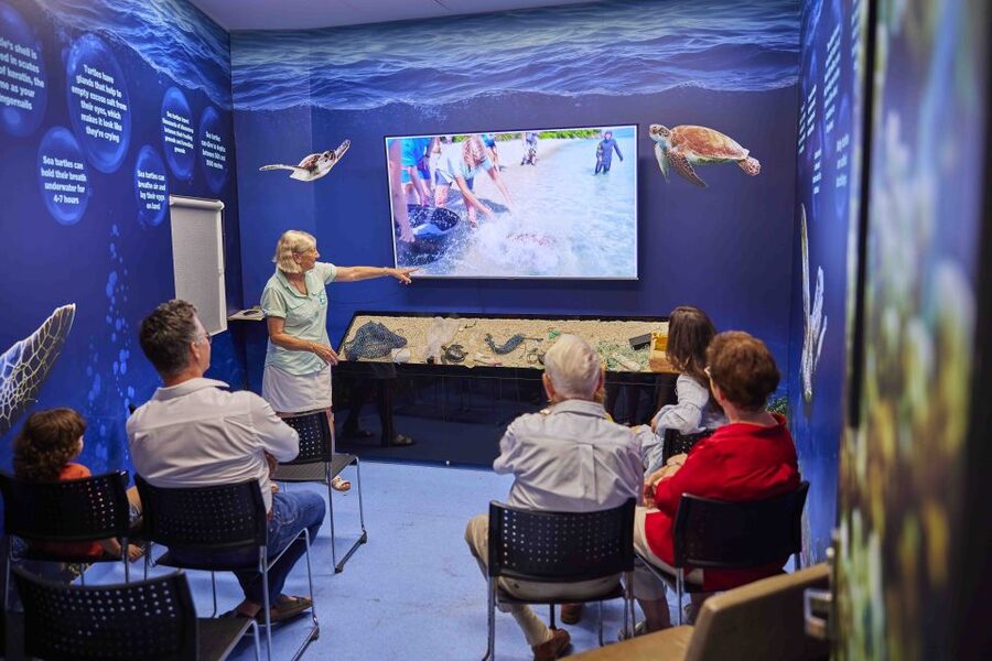 Cairns: Aquarium Entry Ticket and Turtle Rehabilitation Tour - Practical timing for a smooth day