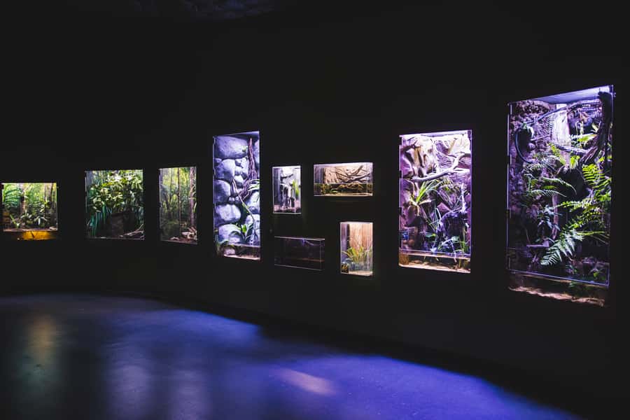 Cairns Aquarium General Admission Ticket - Aqualuna meals: eating on-site so your aquarium time stays intact