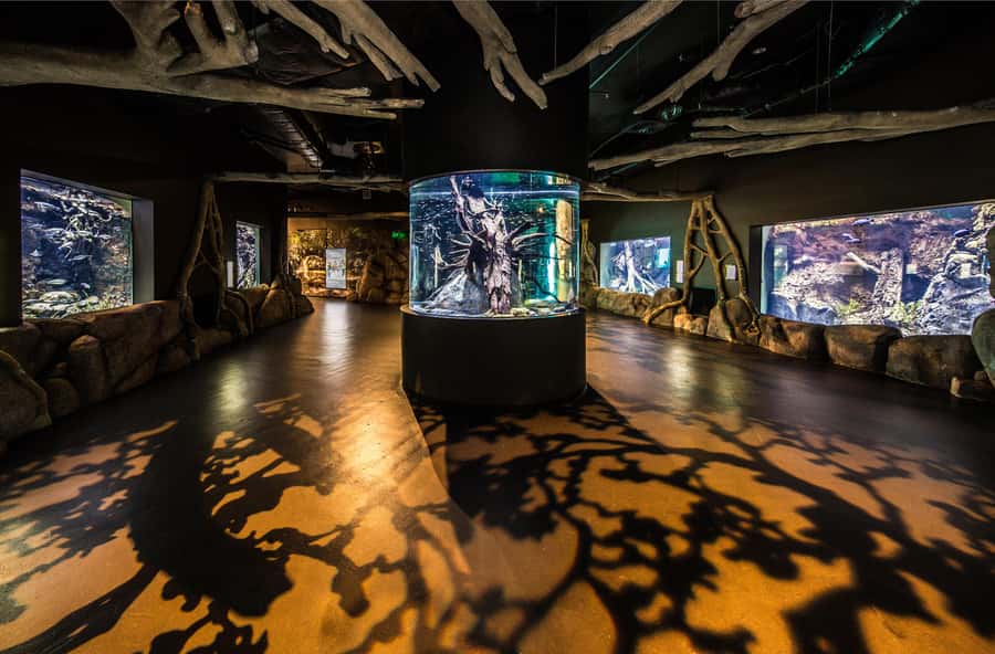 Cairns: Aquarium Guided Twilight Tour with 3-Course Dinner - Entering the aquarium after hours: why it feels different