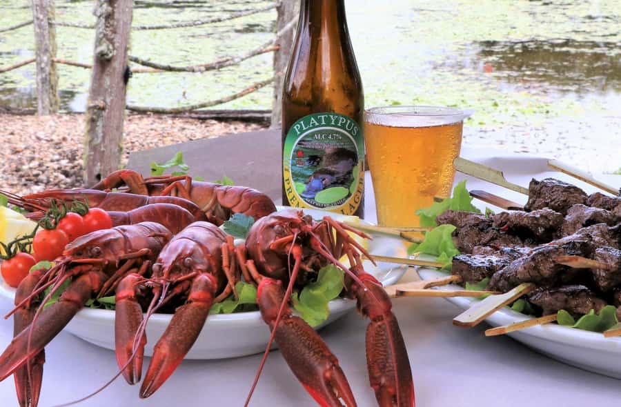 Cairns: Atherton Tablelands Full-Day Adventure - Australian Platypus Park and Tarzali Lakes: Lunch with real flavor risks (in a good way)
