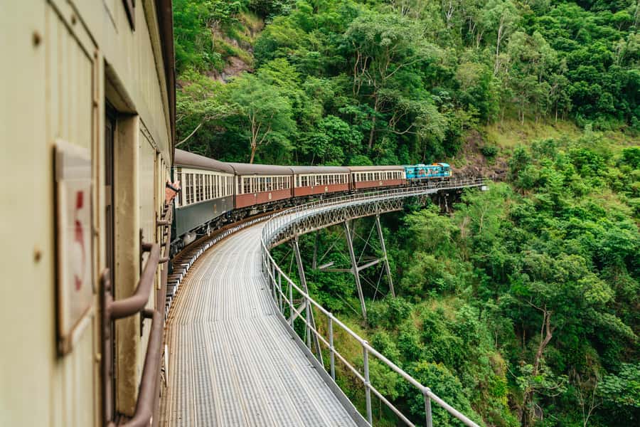 Cairns: Best of the Kuranda Rainforest Full-Day Tour & Lunch - Australian Butterfly Sanctuary: the Cairns Birdwing and why the aviary hits