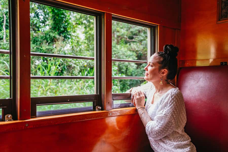 Cairns: Best of the Kuranda Rainforest Full-Day Tour & Lunch - Koala and Wildlife Park: cassowary and tree kangaroos up close
