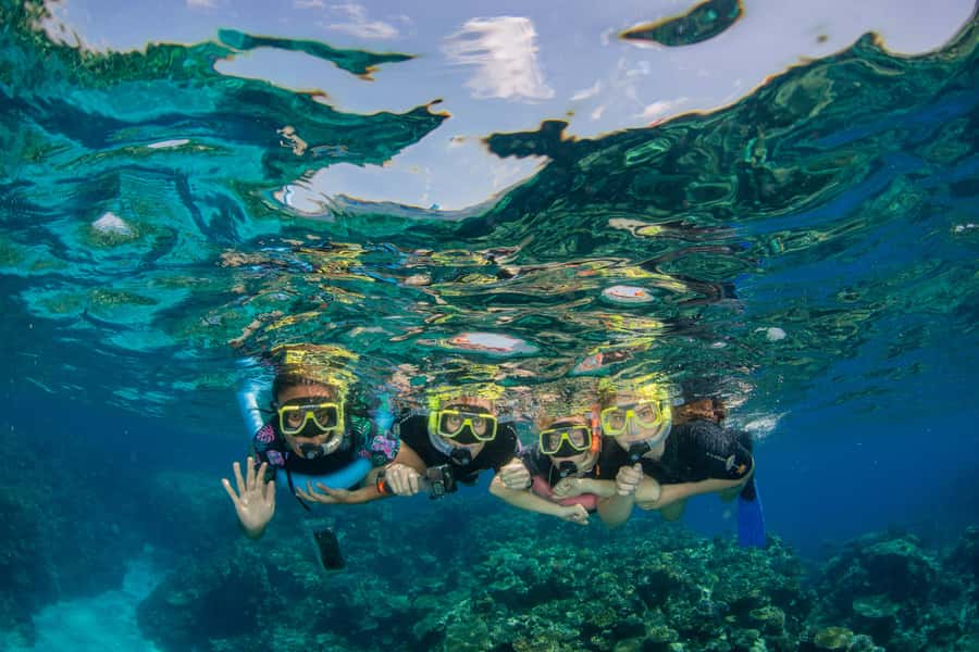 Cairns: Best Value All-inclusive Reef Trip With Scuba Dive - Cairns to the Reef for $184: where the value really shows up