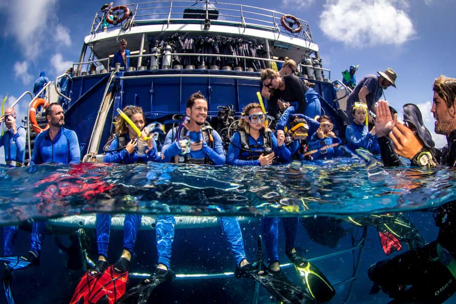 Cairns: Best Value All-inclusive Reef Trip With Scuba Dive - Morning onboard: the breakfast ritual and the marine biologist talk