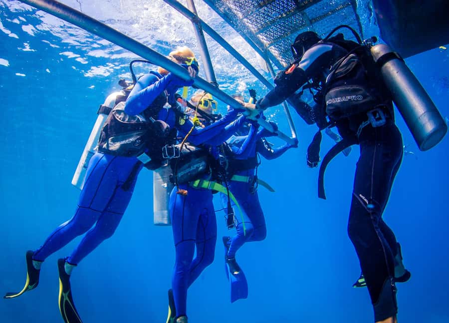 Cairns: Best Value All-inclusive Reef Trip With Scuba Dive - The onboard vibe on the way back: wine, cheese, and a reef recap