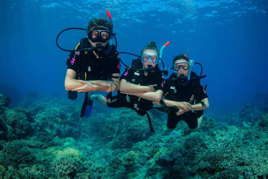 Cairns: Best Value All-inclusive Reef Trip With Scuba Dive - Who this trip suits best in Cairns, and who should skip it