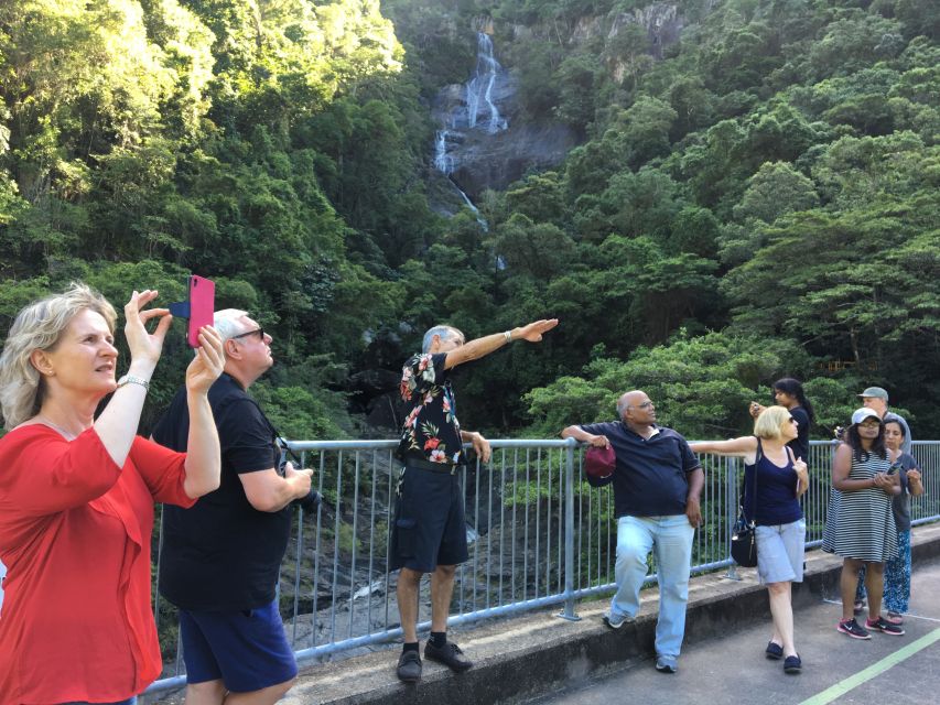 Cairns: Cairns City Sights & Surrounds Half Day Tour - The coach, timing, and comfort details that affect your experience