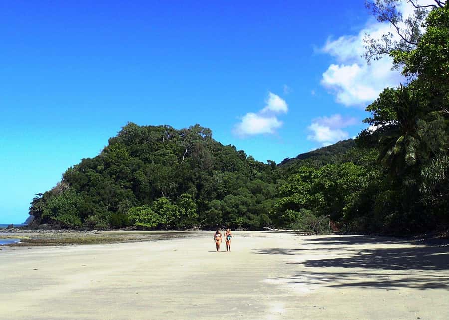 Cairns: Cape Tribulation, Beaches, Crocs & Swimming Day Tour - Key things to know before you go