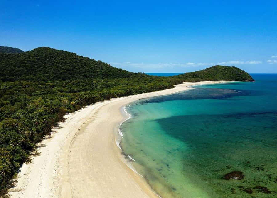 Cairns: Cape Tribulation, Beaches, Crocs & Swimming Day Tour - Cape Tribulation Lunch: Fuel Before the Real Stops