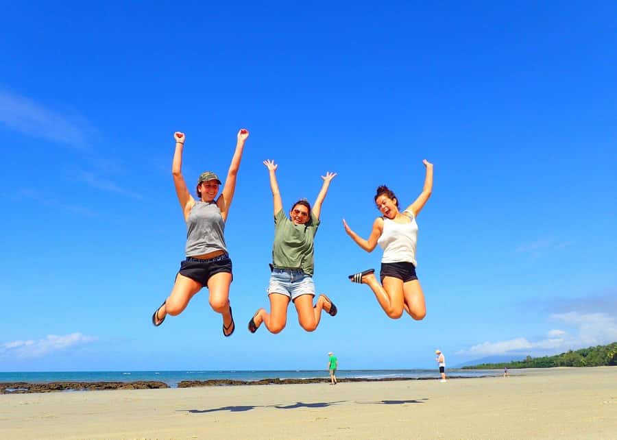 Cairns: Cape Tribulation, Beaches, Crocs & Swimming Day Tour - Scenic Lookouts and Marine Life Viewing on the Way