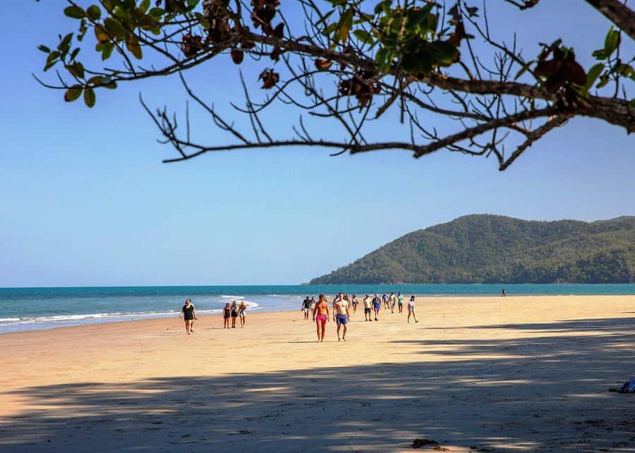 Cairns: Cape Tribulation, Beaches, Crocs & Swimming Day Tour - Daintree River Crocodile Cruise and Ferry Crossing