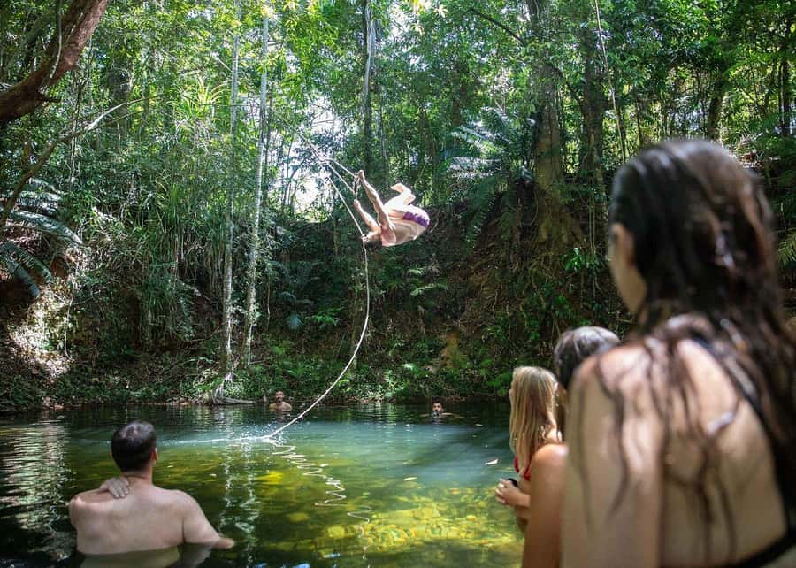 Cairns: Cape Tribulation, Beaches, Crocs & Swimming Day Tour - Price and Time on the Bus: Is $155 Worth It?