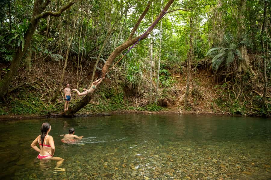 Cairns: Cape Tribulation, Beaches, Crocs & Swimming Day Tour - Port Douglas Break: Four Mile Beach Walk and Swim Time