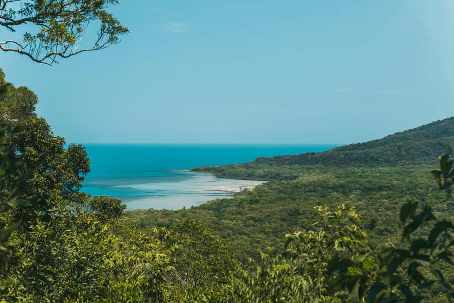Cairns: Cape Tribulation & Daintree Rainforest Premium Tour - Premium small-group pacing through the Daintree and Cape Tribulation