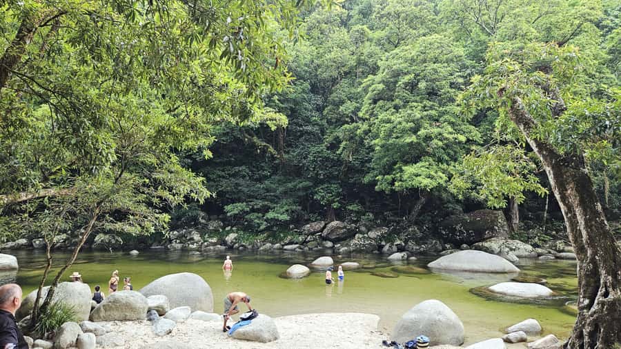Cairns: Cape Tribulation & Daintree Rainforest Premium Tour - Mossman Gorge: guided walk plus the chance to swim