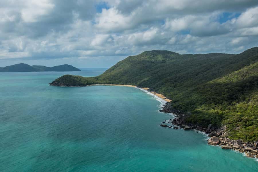 Cairns: Cape Tribulation & Daintree Rainforest Premium Tour - The Daintree River cruise: crocodiles, wildlife, and scanning from the water