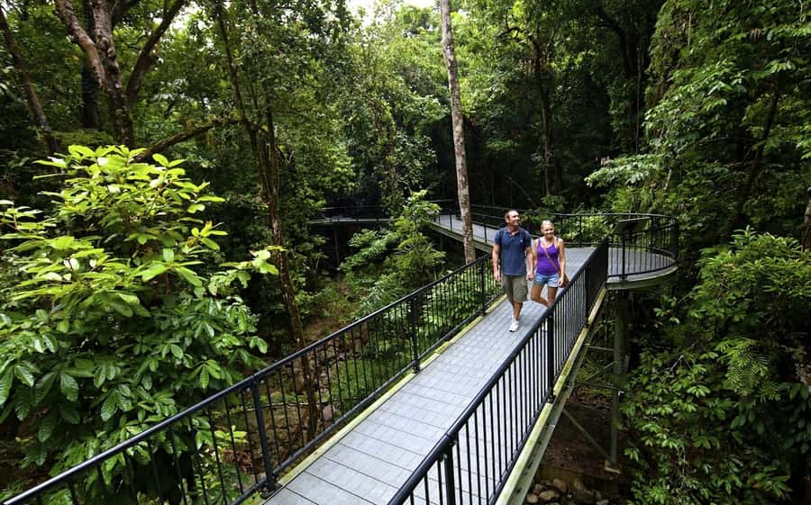 Cairns: Cape Tribulation, Mossman Gorge & Daintree Day Tour - Quick hits if you’re deciding
