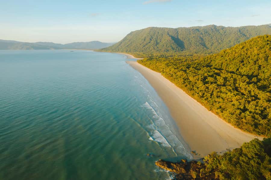 Cairns: Cape Tribulation, Mossman Gorge & Daintree Day Tour - A small-group Daintree day with hands-on guiding