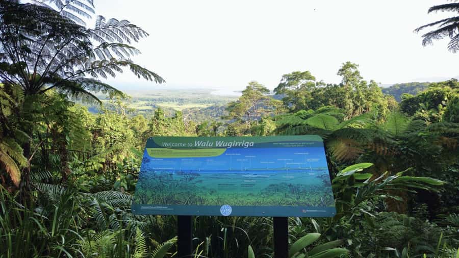 Cairns: Cape Tribulation, Mossman Gorge & Daintree Day Tour - Getting picked up in Cairns or Port Douglas, and why early matters