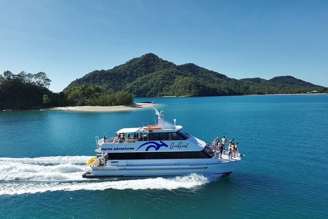 Cairns Catamaran Harbour and Dinner Cruise - Price and value: what you actually get for about $100