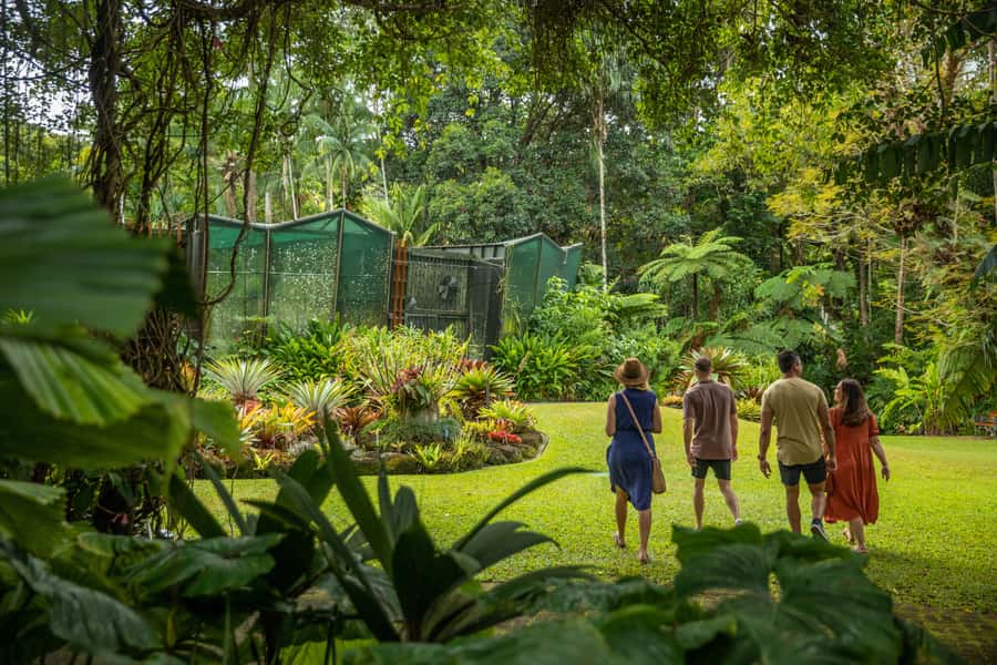 Cairns: City Sights Tour with Evening Dinner Cruise - The big picture: why this day feels special in Cairns