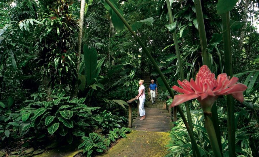 Cairns: City Sights Tour with Evening Dinner Cruise - Cairns Botanic Gardens and Edge Hill Devonshire tea