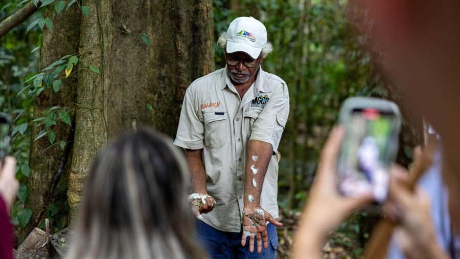 Cairns: Daintree Rainforest and Mossman Gorge Tour - Why this Cairns tour feels different: rainforest, reef, and a ferry ride
