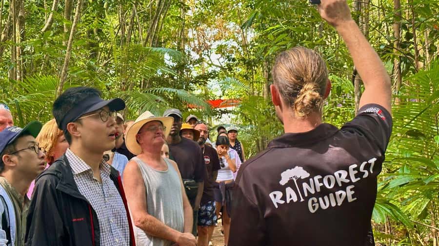 Cairns: Daintree Rainforest and Mossman Gorge Tour - Mossman Gorge: Welcome to Country, Smoke Ceremony, and a cool swim