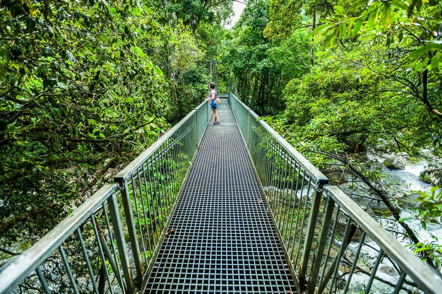 Cairns: Daintree Rainforest and Mossman Gorge Tour - The ice cream stop at Daintree Ice Cream Co.: worth it, not required