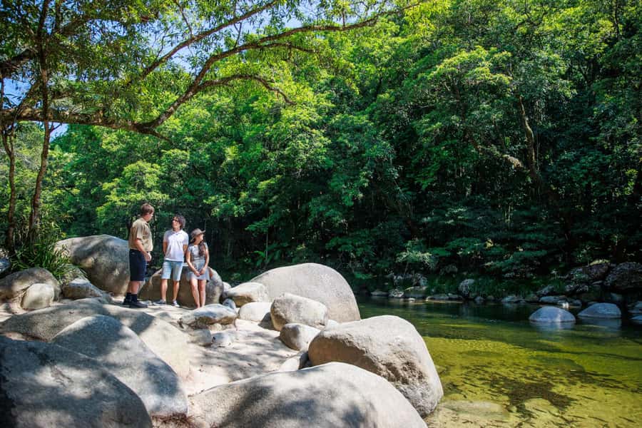 Cairns: Daintree Rainforest & Cape Tribulation Day Trip - Key highlights worth planning for