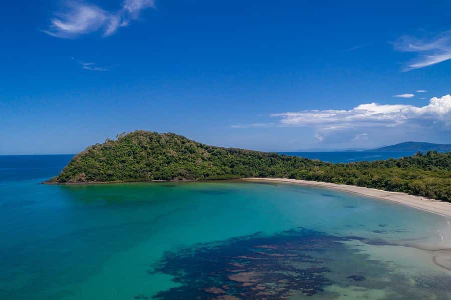 Cairns: Daintree Rainforest & Cape Tribulation Day Trip - Cape Tribulation Beach stroll: Great Barrier Reef views with crocodile awareness